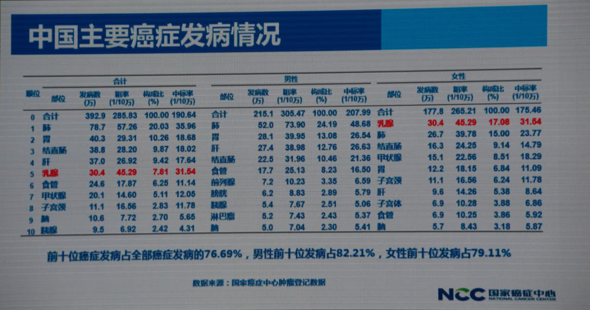 ny29_913544.jpg m3.jpg