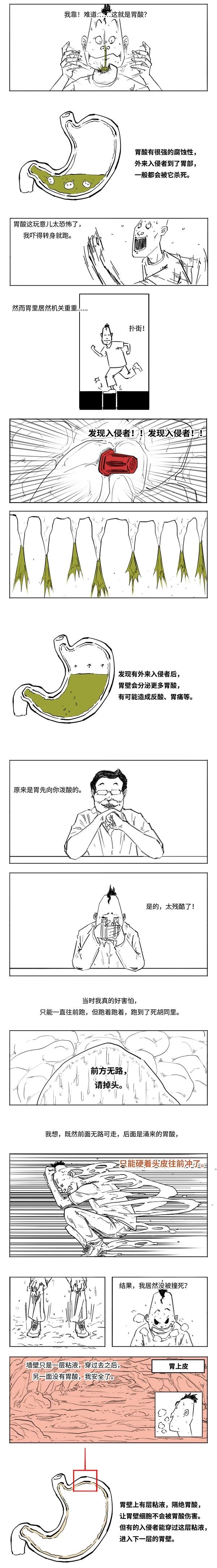 e2.jpg