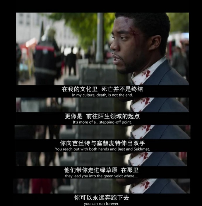 ny31_445155.png b7.png