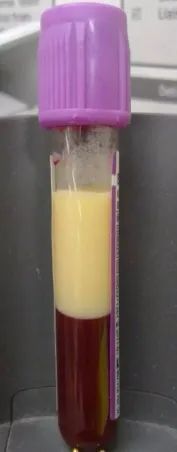 b12.jpg