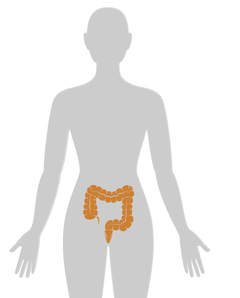 ny24_106716.png n16.png