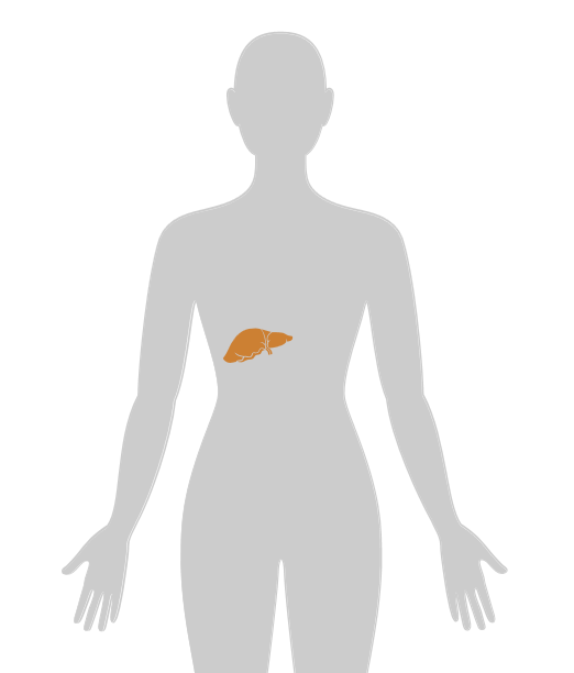 ny24_169185.png n26.png
