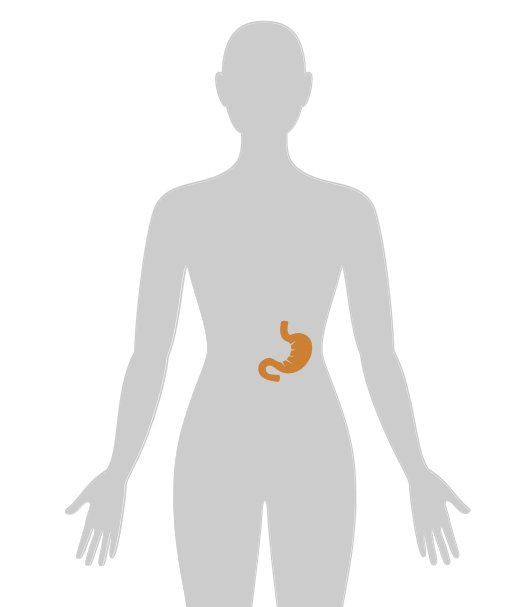 ny24_214781.png n25.png