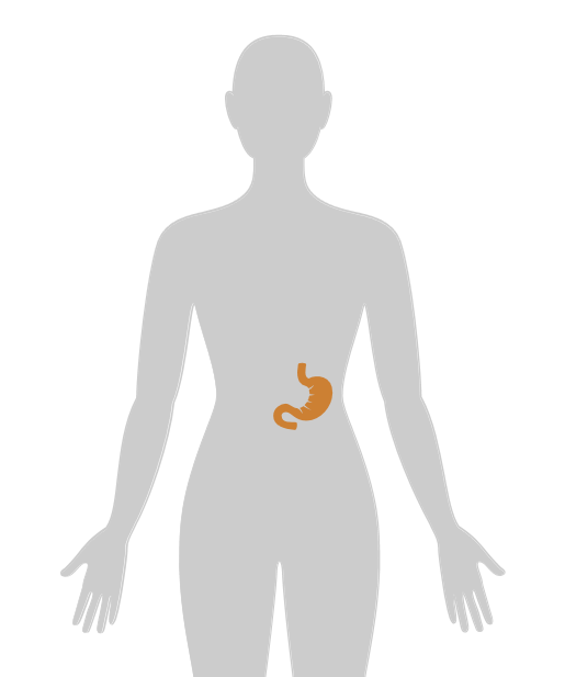 ny24_740990.png n14.png