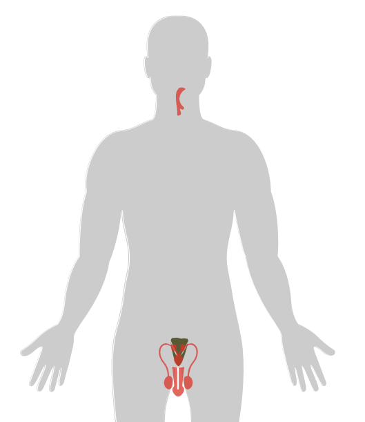 ny24_868349.png n24.png