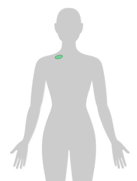 ny24_901477.png n28.png