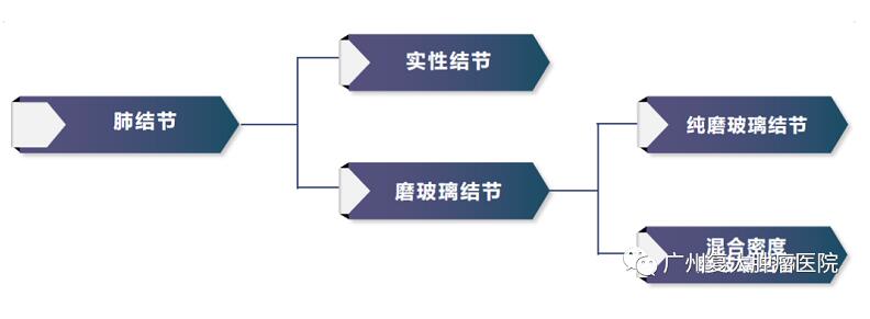 ccc2.jpg