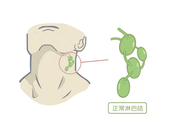 ny16_290400.gif 微信图片_20220916094738.gif
