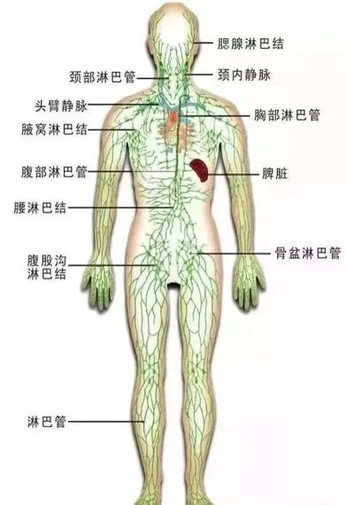 111d62ab0620bbeeed905e4699a9ec40__url=http%3A%2F%2Fdingyue.ws.126.net%2F2020%2F1017%2F28c30f35p00qibar4005wd200av00fug00it00re.png&thumbnail=660x2147483647&quality=80&type=jpg.jpg